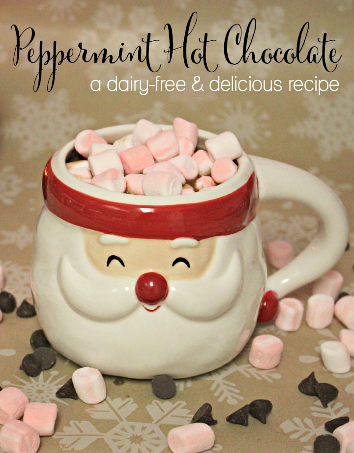 vegan-peppermint-hot-chocolate-recipe-silk-cashewmilk