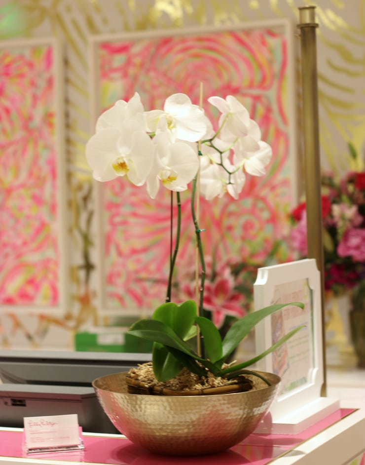 lilly-pulitzer-store